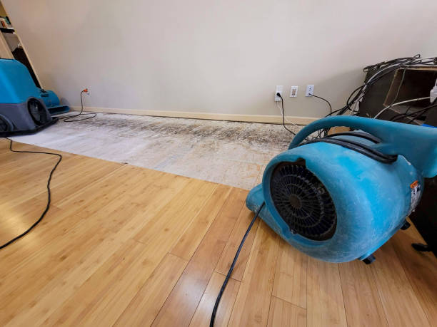 Professional Water Damage Repair technician working in Conway, FL